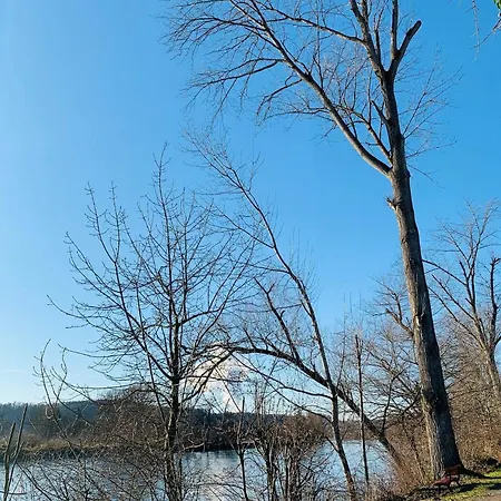 Daire Sonnige Mit Balkon Kussaberg